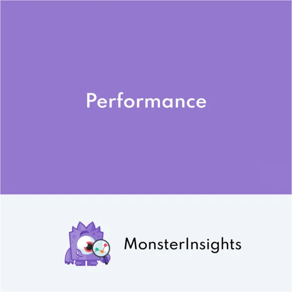 MonsterInsights - Performance Addon